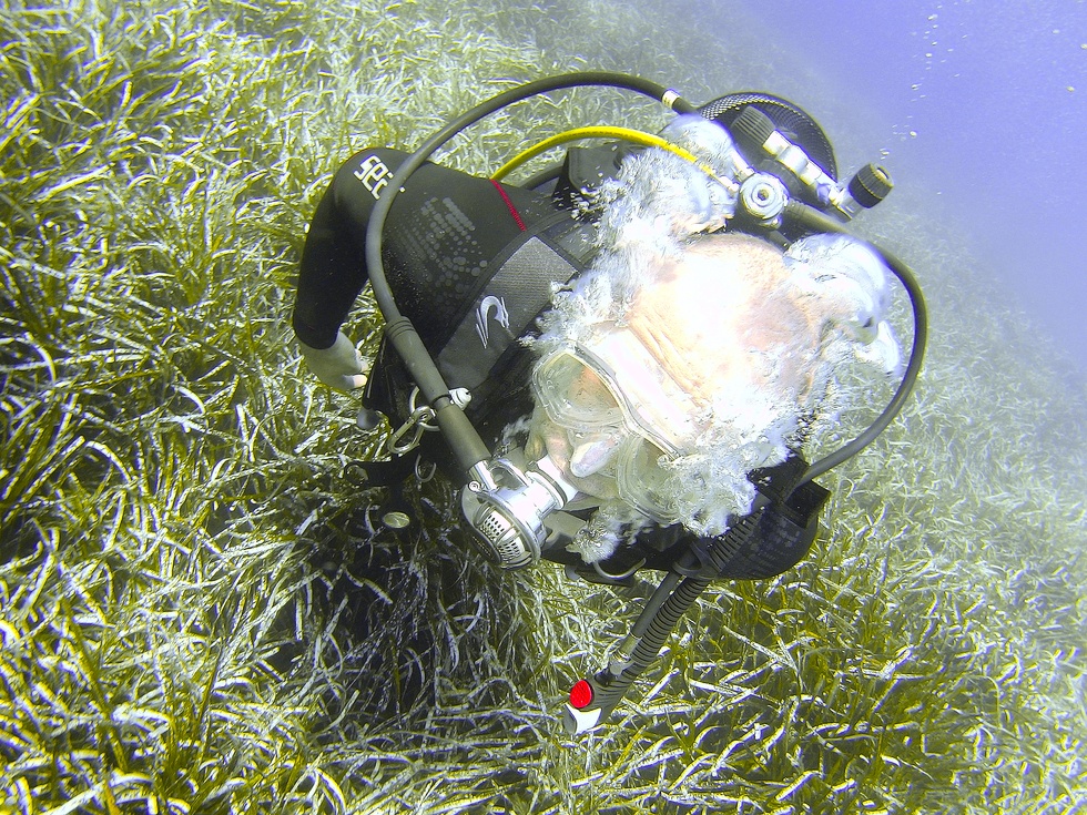 Discovering Hyères Underwater: A Dive into the Riviera's Enchanting Marine World